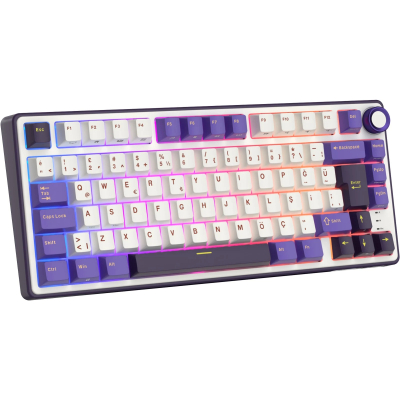 Royal Kludge R75 Blackberry Mousse RGB Türkçe Kablolu Gaming Klavye