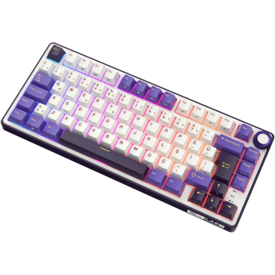 Royal Kludge R75 Blackberry Mousse RGB Türkçe Kablolu Gaming Klavye